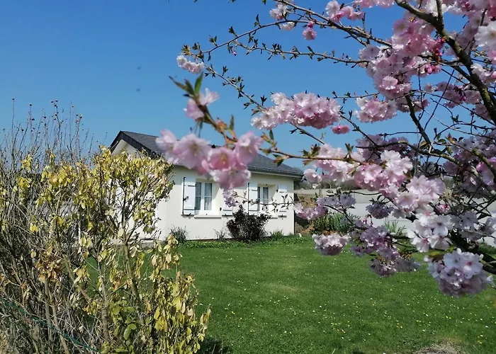 Les Hirondelles Bleues