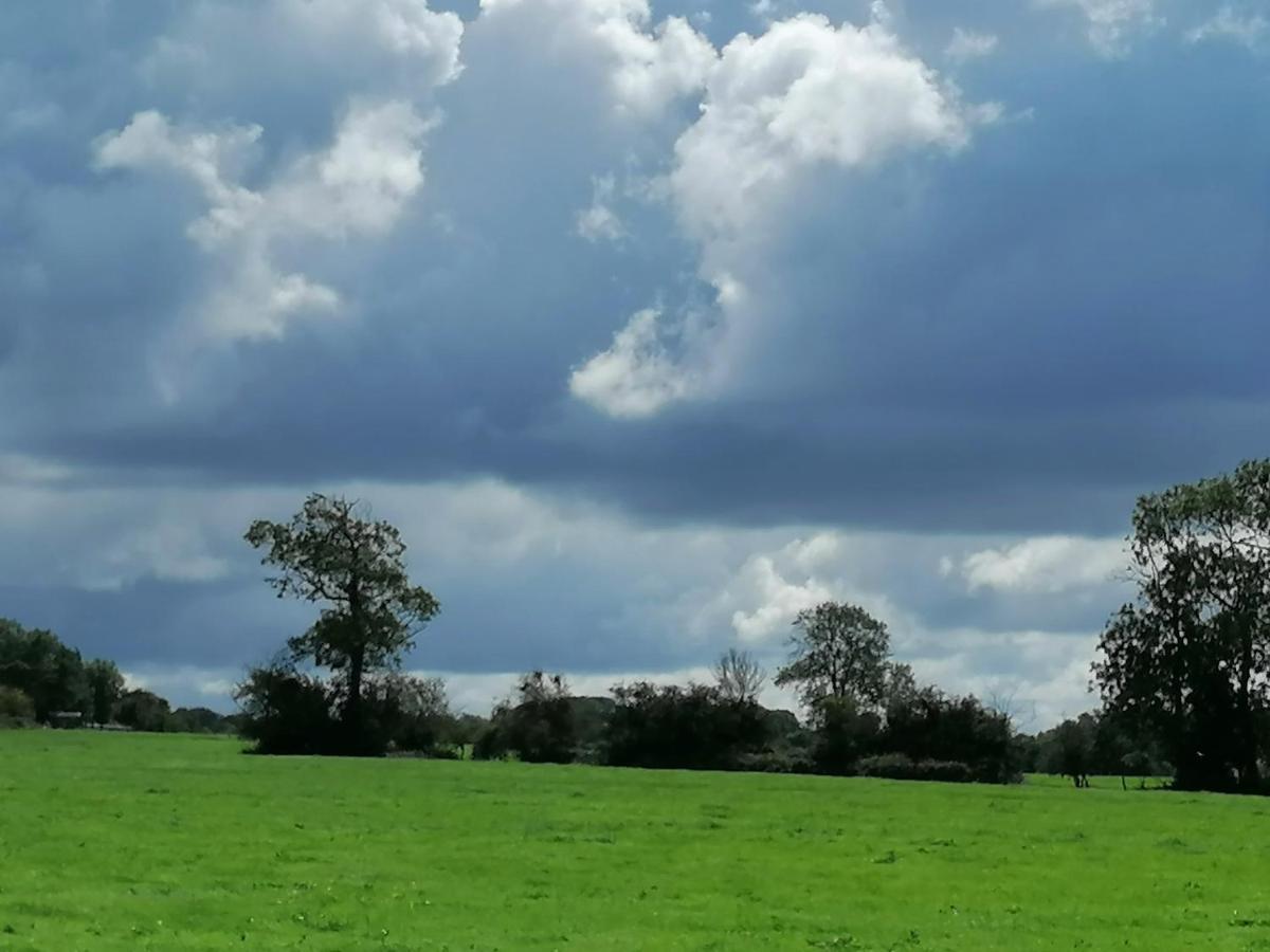 Bed & Breakfast Les Hirondelles Bleues *